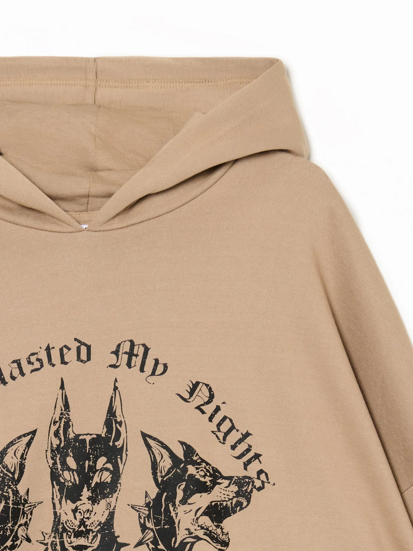 Best Cropp Brązowa bluza hoodie z dobermanami UNISEX brązowy