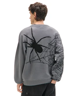 Sale Cropp sweter z pająkiem szary
